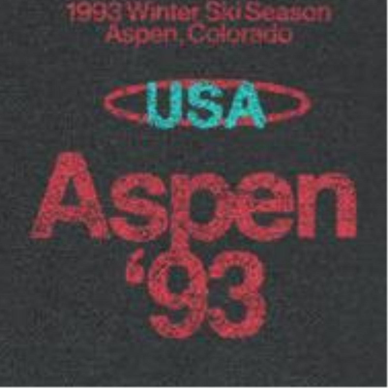 Retro Ski Aspen '93 Front and Back Print Black T-Shirt