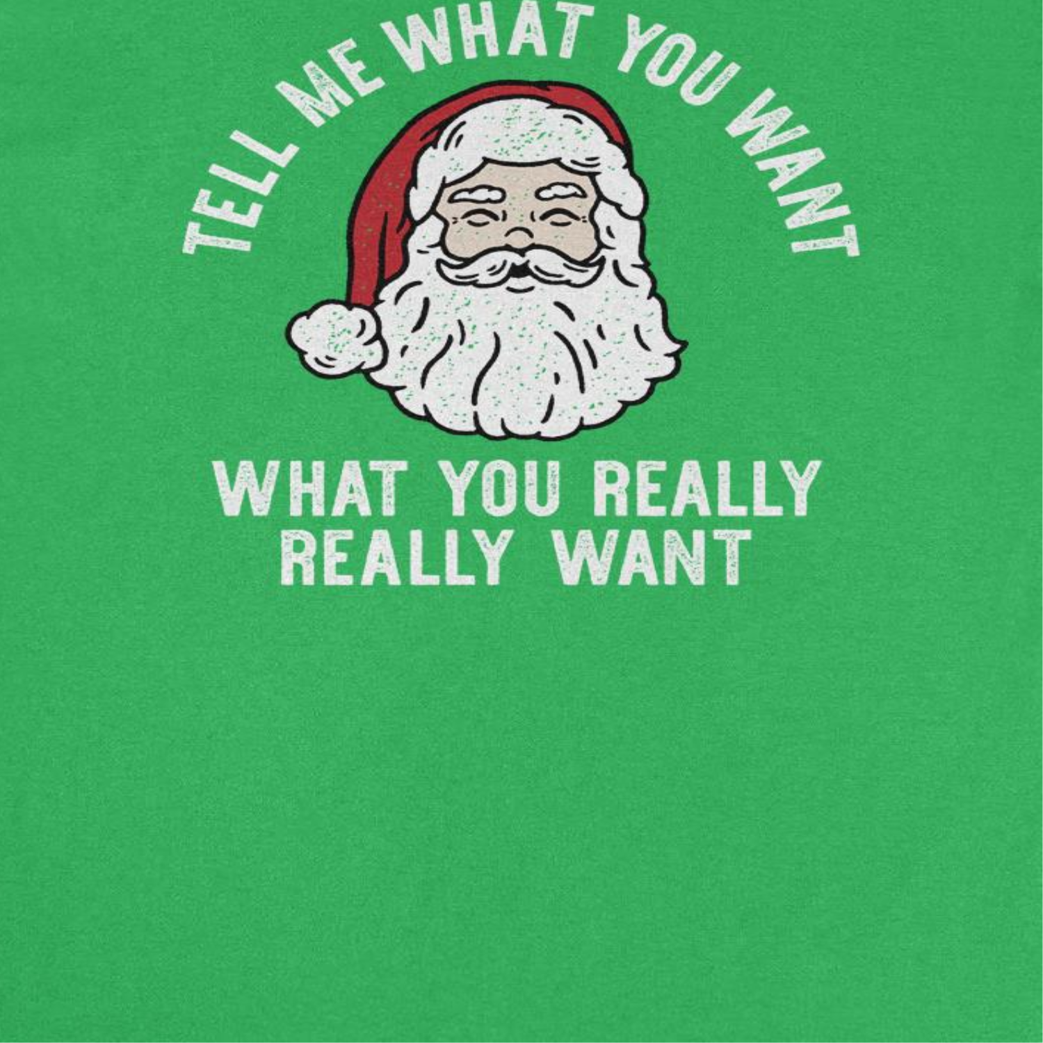 Tell Me What you Want What You Really Really Want Christmas Shirt