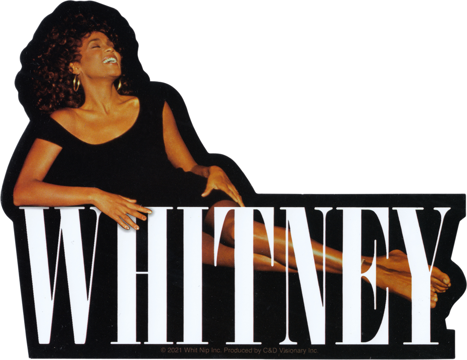 Whitney Houston - Posing Behind Logo Sticker