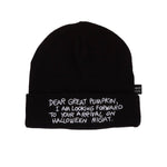 Peanuts The Great Pumpkin Charlie Brown black knit beanie