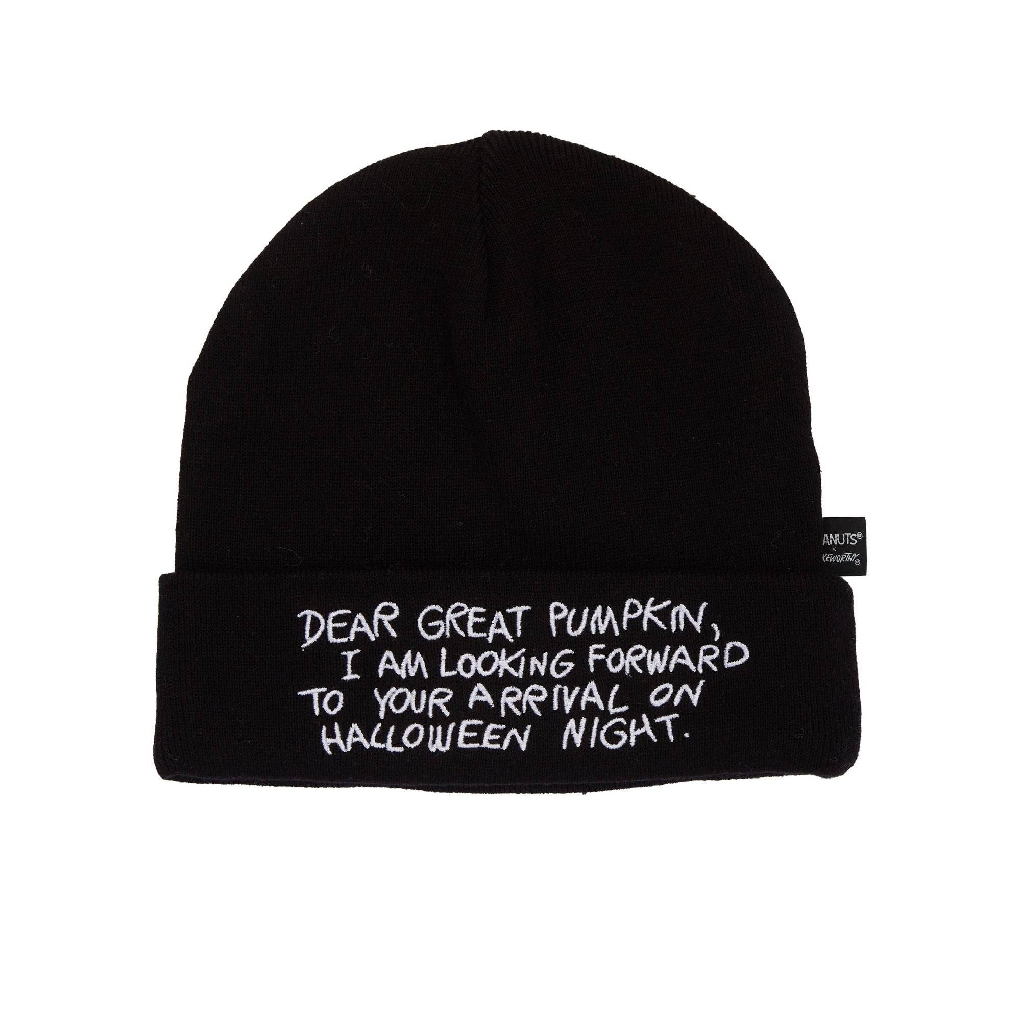 Peanuts The Great Pumpkin Charlie Brown black knit beanie