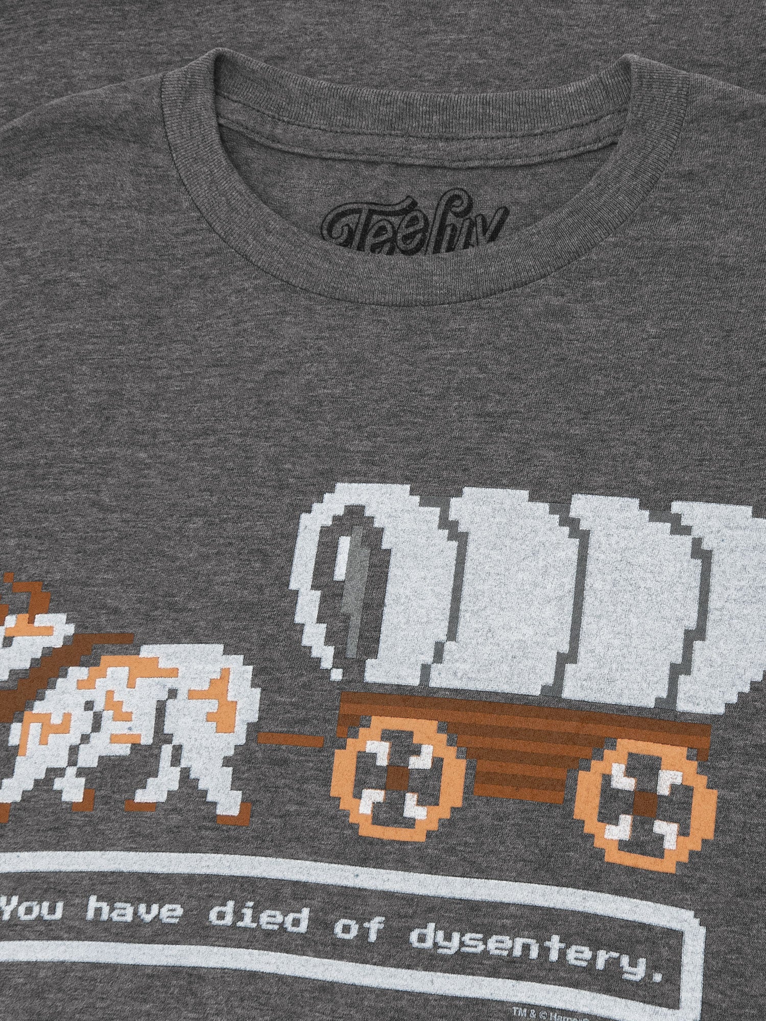 The Oregon Trail You Have Died of Dysentery Video Game Quote graphic t-shirt — view 2