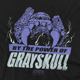 Masters of the Universe By The Power Of Grayskull T-Shirt