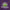 Teenage Mutant Ninja Turtles Donatello “Since 1984” T-Shirt