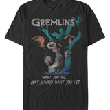 Gremlins 1 Gremlin Poster PHRASE