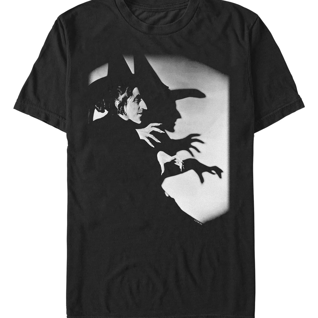 officially licensed The Wizard of Oz Witch Pose T-Shirt tee