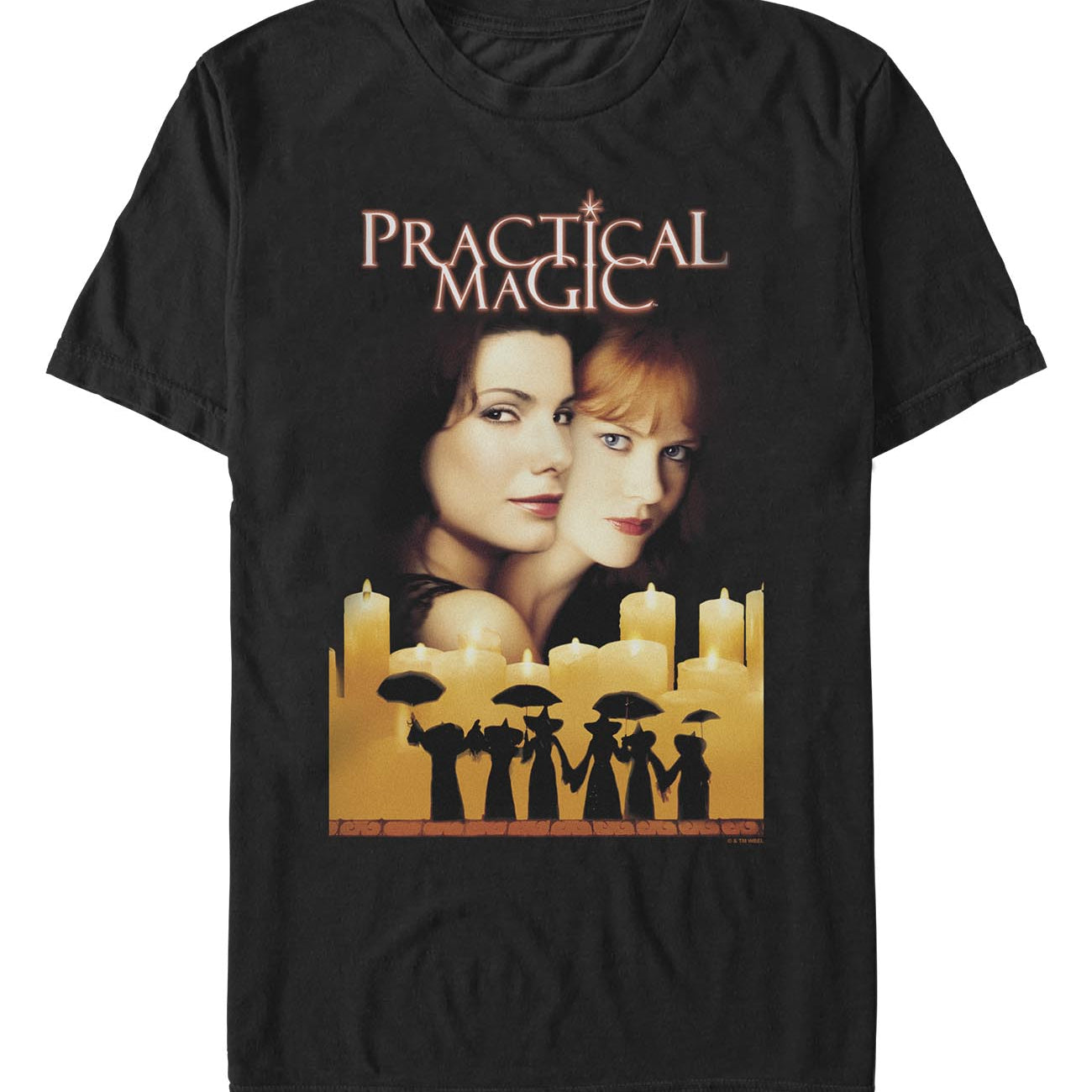 officially licensed Practical Magic Practical Magic Poster T-Shirt tee