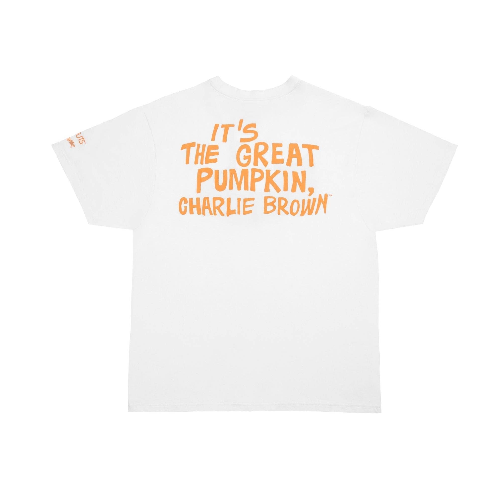 Peanuts The Great Pumpkin Charlie Brown t-shirt dress