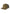 Green trucker cap with white rim on a beige background