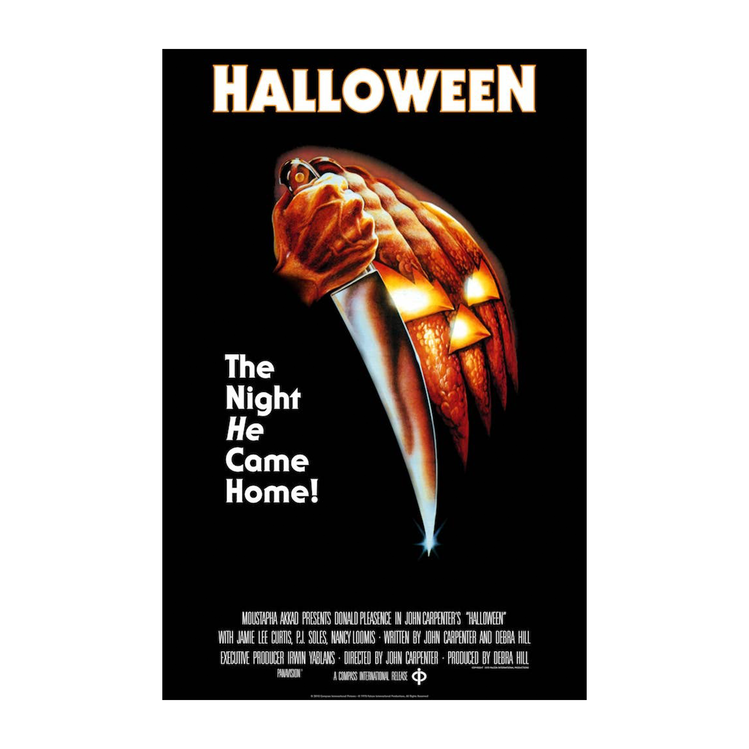Halloween The Night He Came Home! Horror Movie Poster