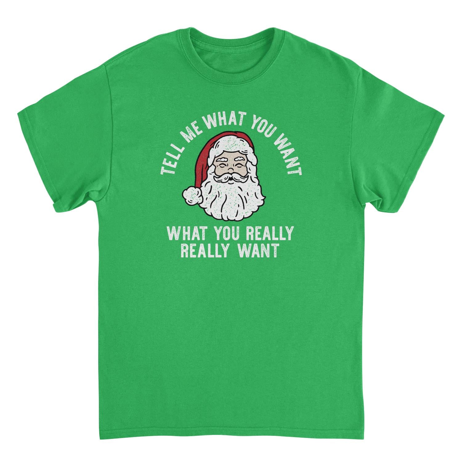 Tell Me What you Want What You Really Really Want Christmas Shirt