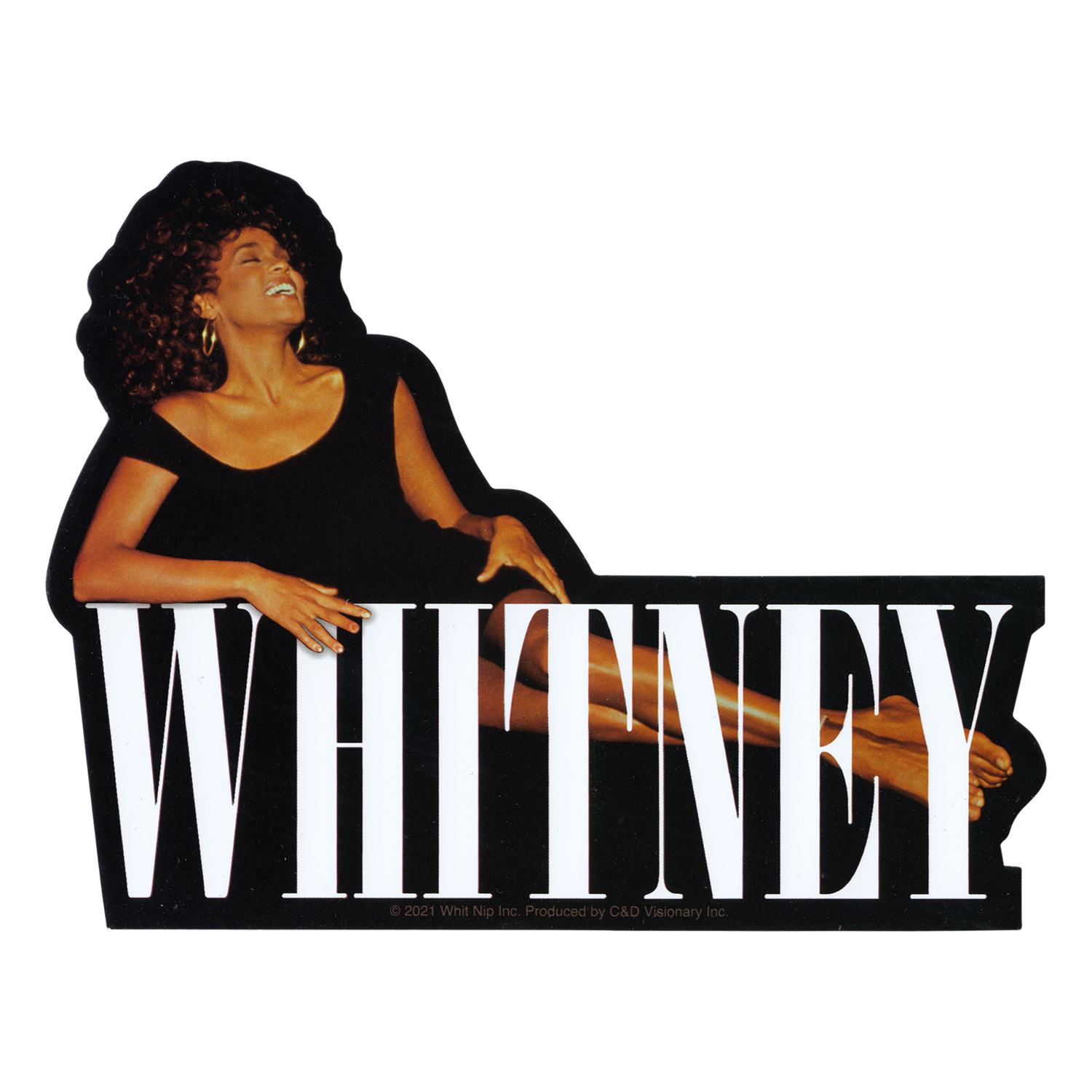 Whitney Houston - Posing Behind Logo Sticker