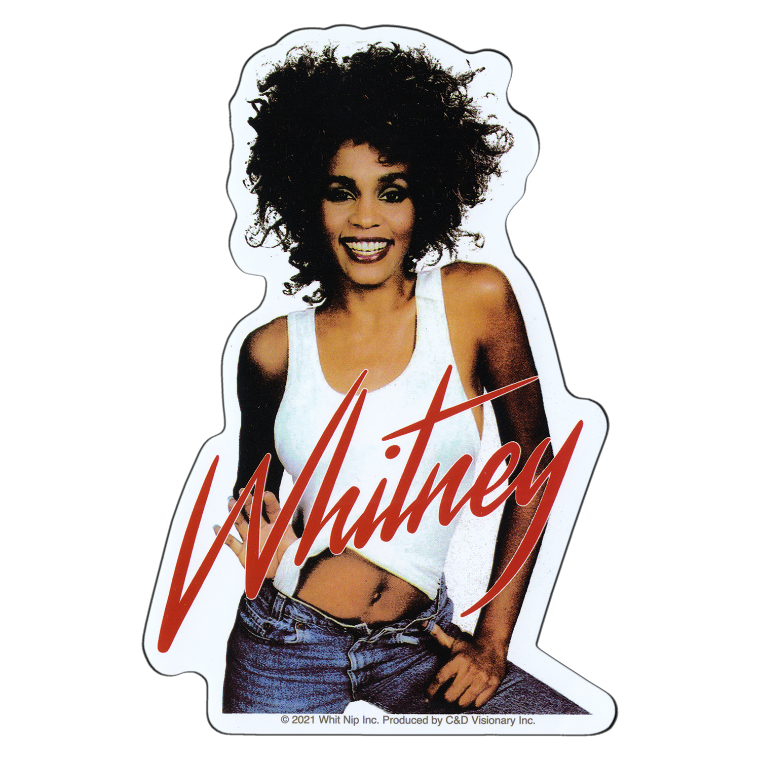 Whitney Houston - Standing Behind Logo Sticker